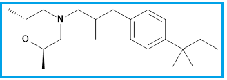 AMOROLFINE EP IMPURITY E